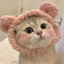 Huỳnh Thu Phương avatar