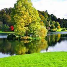 Huỳnh Quang Thanh avatar